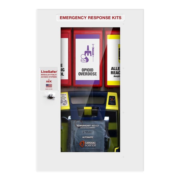 Livesafertm LiveSafer  AED Storage  Modular Emergency Response Kit 4 Inner Cases  for AEDs up to 5 Thick EN10000